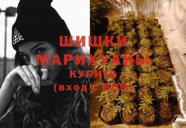 тгк Ельня
