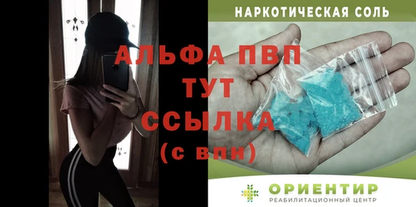 индика Заволжье