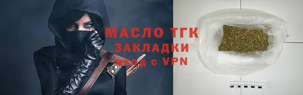 тгк Ельня