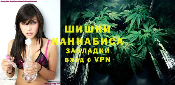 гидропоника Елабуга