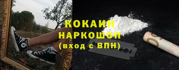 тгк Ельня