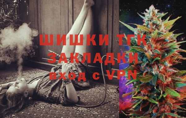 тгк Ельня