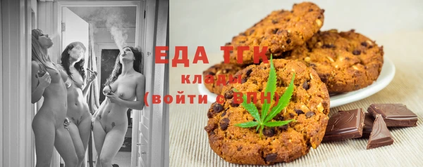 тгк Ельня